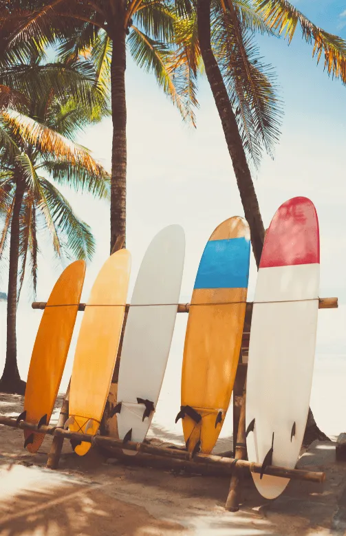 Planches de surf